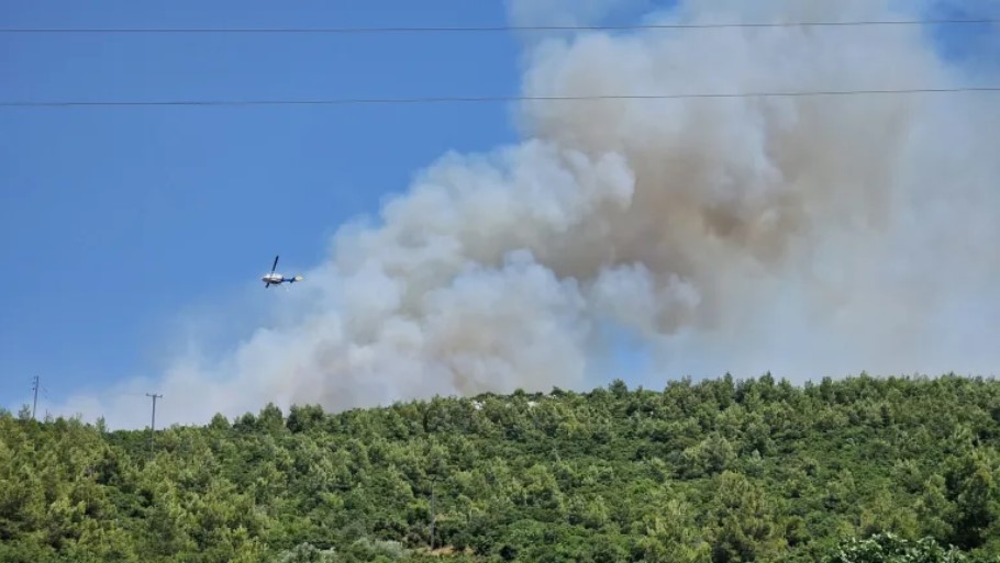 Φωτιά στο Μαρκόπουλο Ωρωπού © oroposnews.com