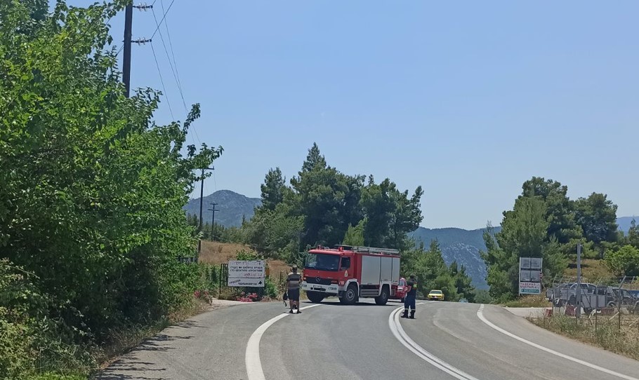 Φωτιά στο Μαρκόπουλο Ωρωπού © oroposnews.com