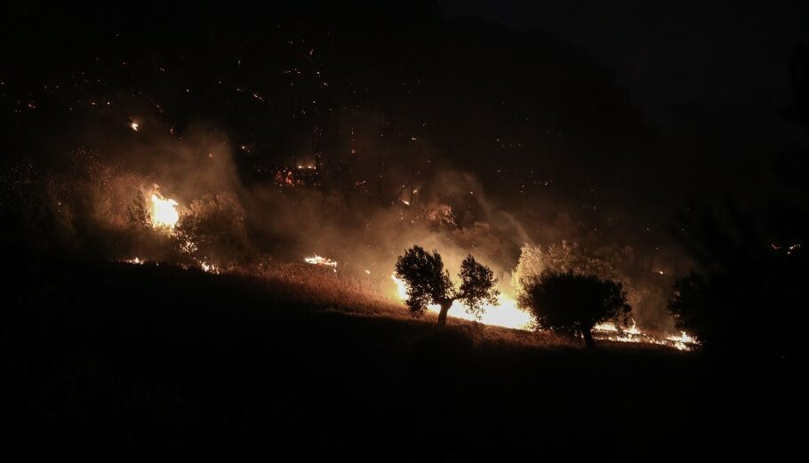 Δασική πυρκαγιά © EUROKINISSI/ΣΤΕΛΙΟΣ ΜΙΣΙΝΑΣ