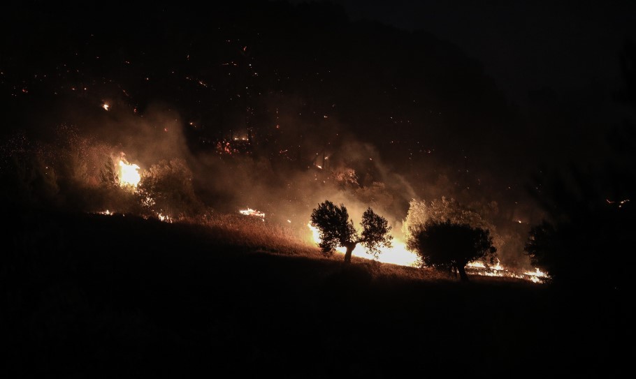 Δασική πυρκαγιά © EUROKINISSI/ΣΤΕΛΙΟΣ ΜΙΣΙΝΑΣ