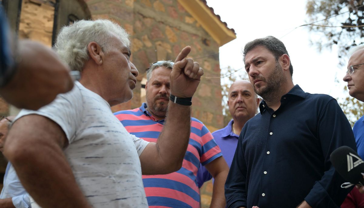 Ανδρουλάκης: Βατερλώ η ασφάλεια και η πολιτική προστασία