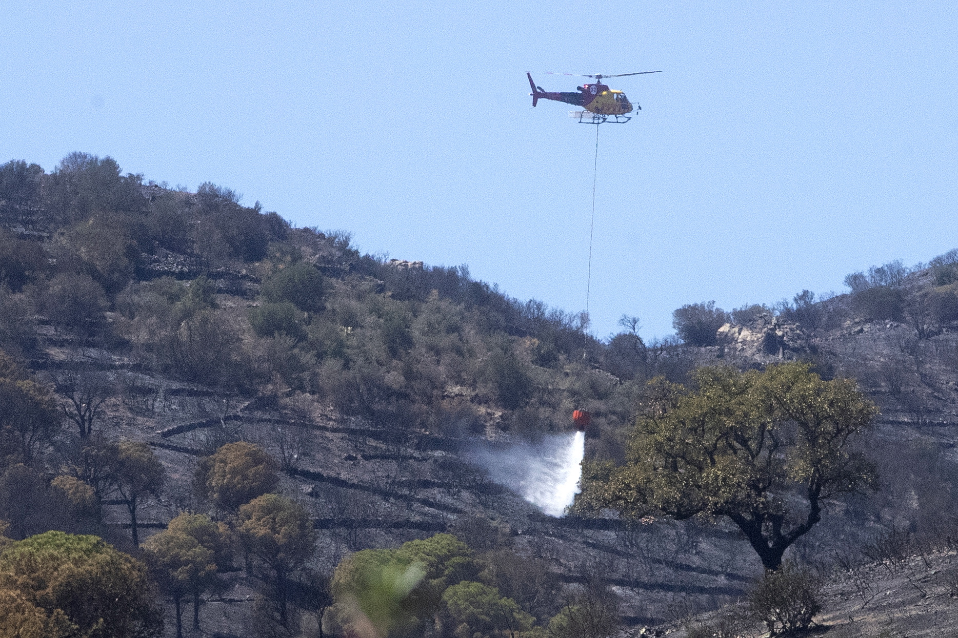Πορτογαλία: Μεγάλη πυρκαγιά στην περιοχή Καστέλο Μπράνκο