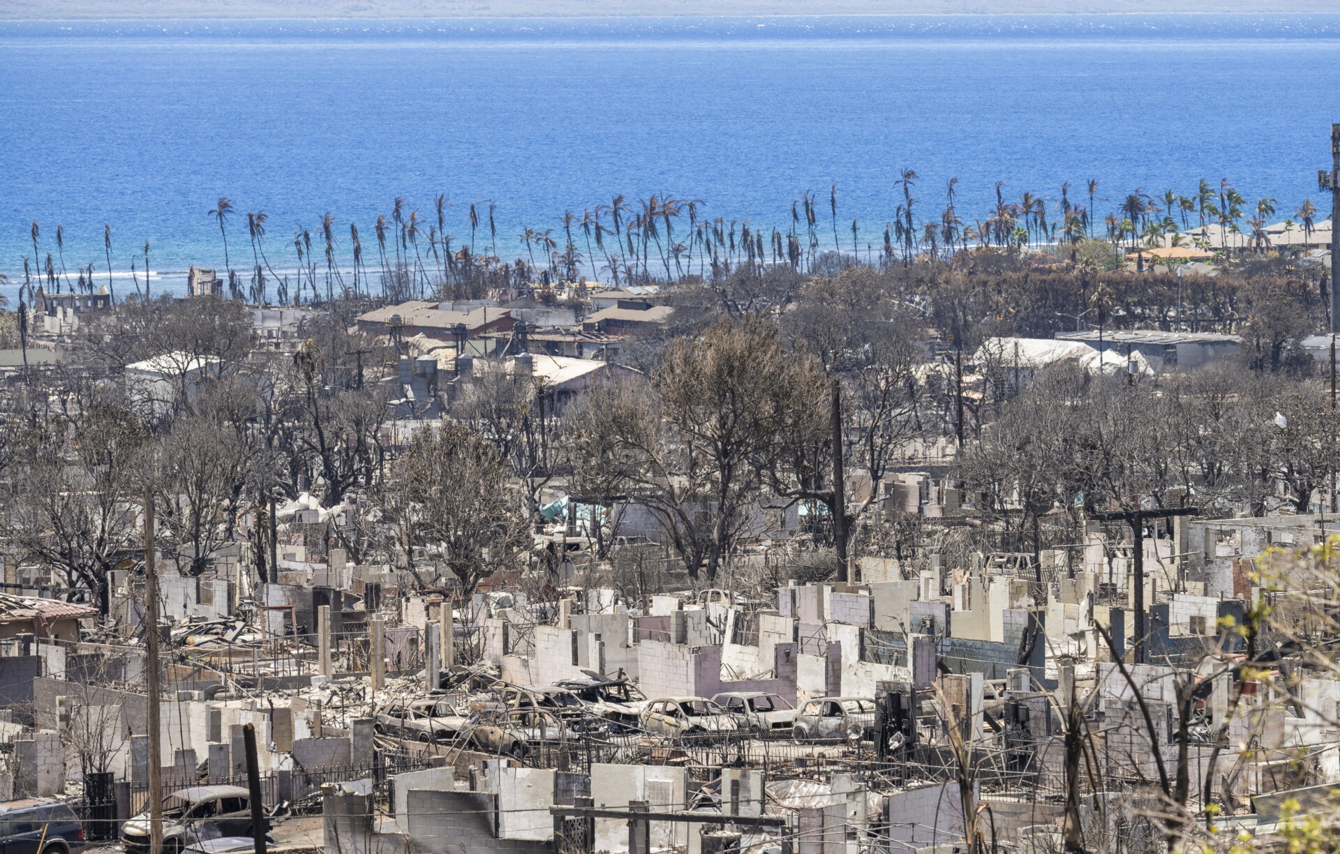 Καμένα στη Λαχάινα της Χαβάης © EPA/ANDREW MILLER