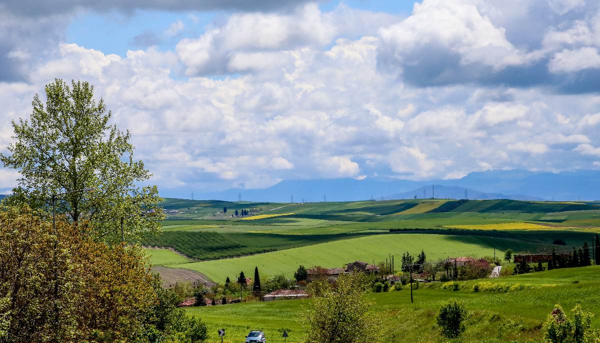 Θεσσαλικός κάμπος, αγροτική γη © Eurokinissi /ΛΕΩΝΙΔΑΣ ΤΖΕΚΑΣ