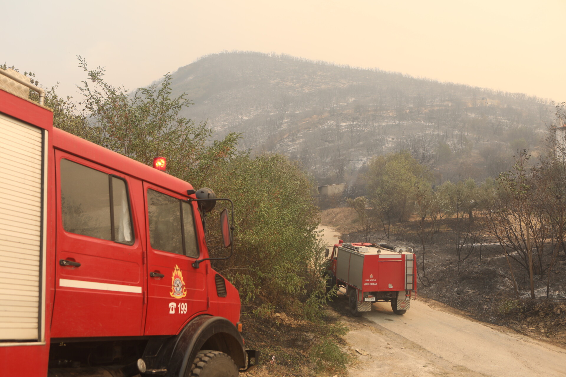 Πυροσβεστικές δυνάμεις στο πύρινο μέτωπο στην Αλεξανδρούπολη © Motion Team / Eurokinissi