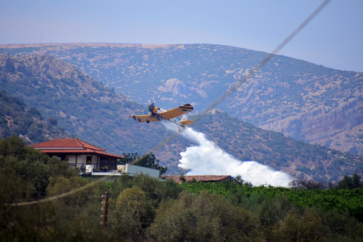 Μάχη με τις αναζωπυρώσεις στην Αλεξανδρούπολη – Αγωνία για την Πάρνηθα