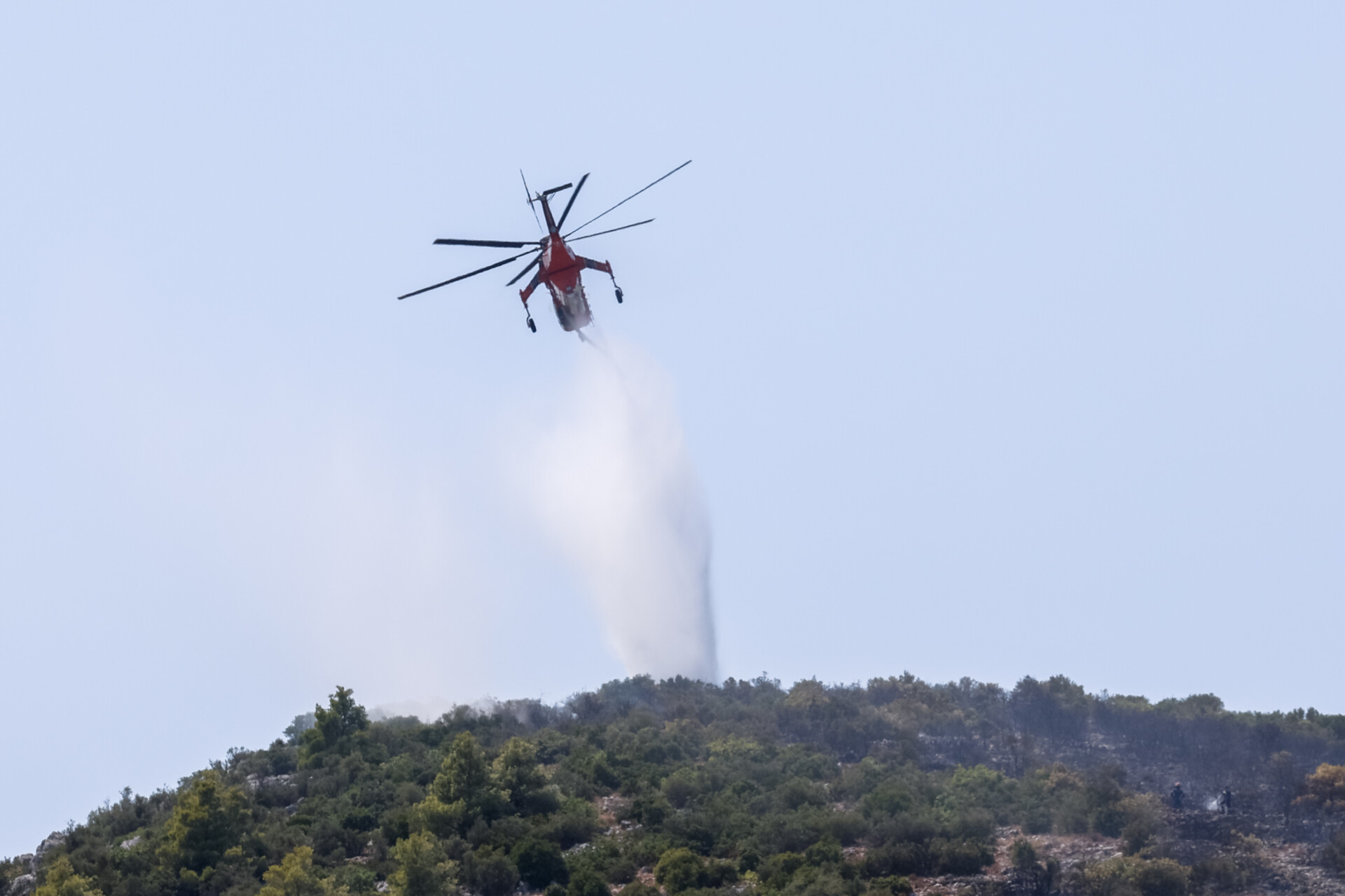 Πυρκαγιά στον Αυλώνα © Εurokinissi