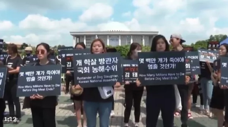 Aκτιβιστές διαδηλώνουν στη Νότια Κορέα © twitter.com/AFP/status