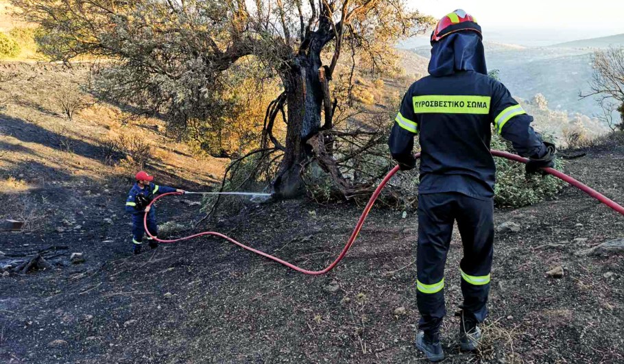 Φωτιά στην Κάρυστο: Ενισχύονται οι δυνάμεις των πυροσβεστών