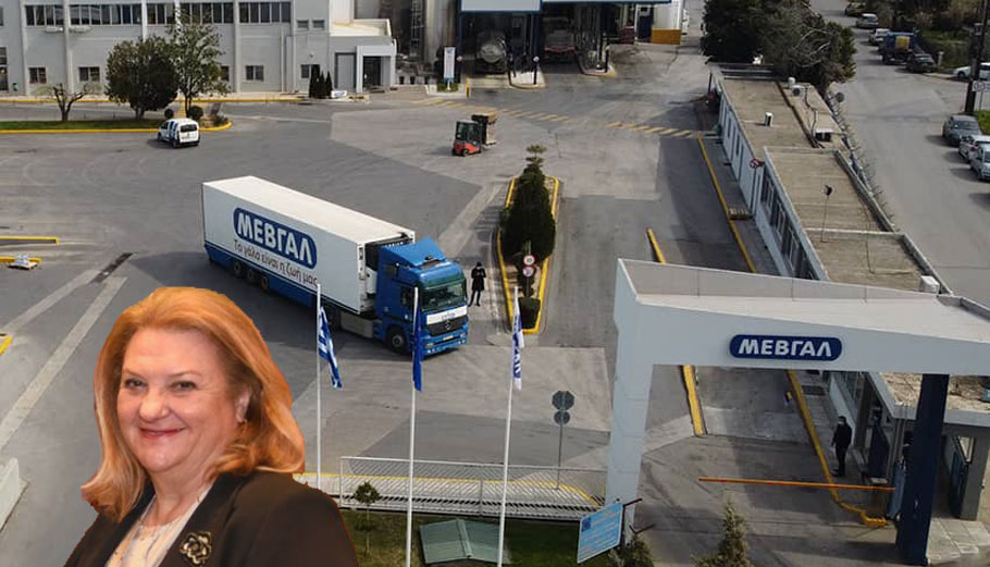 ΜΕΒΓΑΛ: Κερδίζει μερίδια η μεγαλύτερη γαλακτοβιομηχανία της Βορείου Ελλάδας