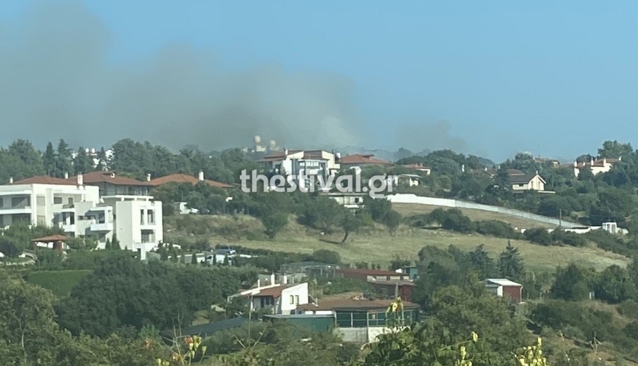 Φωτιά στο Φίλυρο Θεσσαλονίκης © thestival