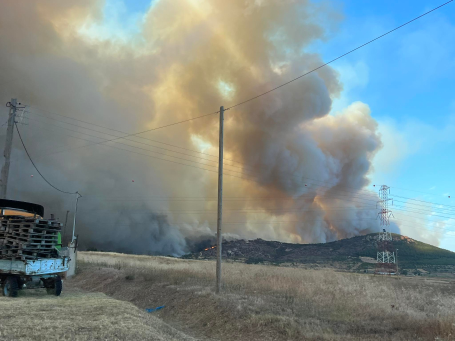 Πυρκαγιά στην περιοχή Λουτρά Αλεξανδρούπολης© ΑΠΕ-ΜΠΕ/ΑΠΕ-ΜΠΕ/STR