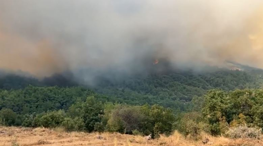Η φωτιά στην Αλεξανδρούπολη©facebook.com/focustonevro