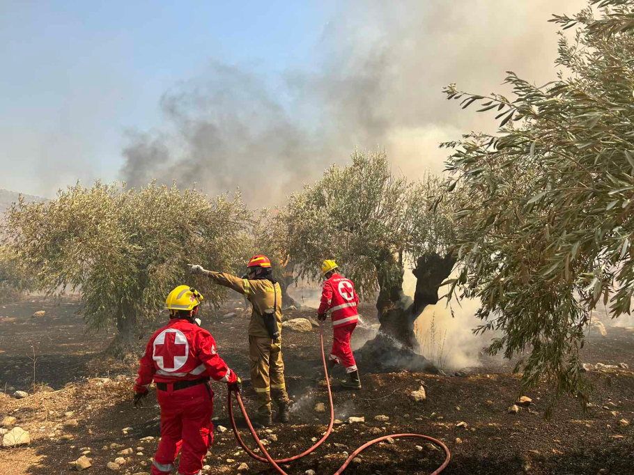 Η φωτιά στο Σαράντη Βοιωτίας©ΑΠΕ-ΜΠΕ/ΕΛΛΗΝΙΚΟΣ ΕΡΥΘΡΟΣ ΣΤΑΥΡΟΣ/STR