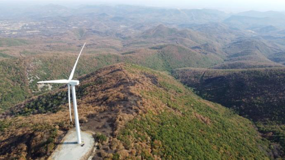 Τι απαντάει η ΑΔΜΘ στην Ορνιθολογική για τα αιολικά στον Έβρο