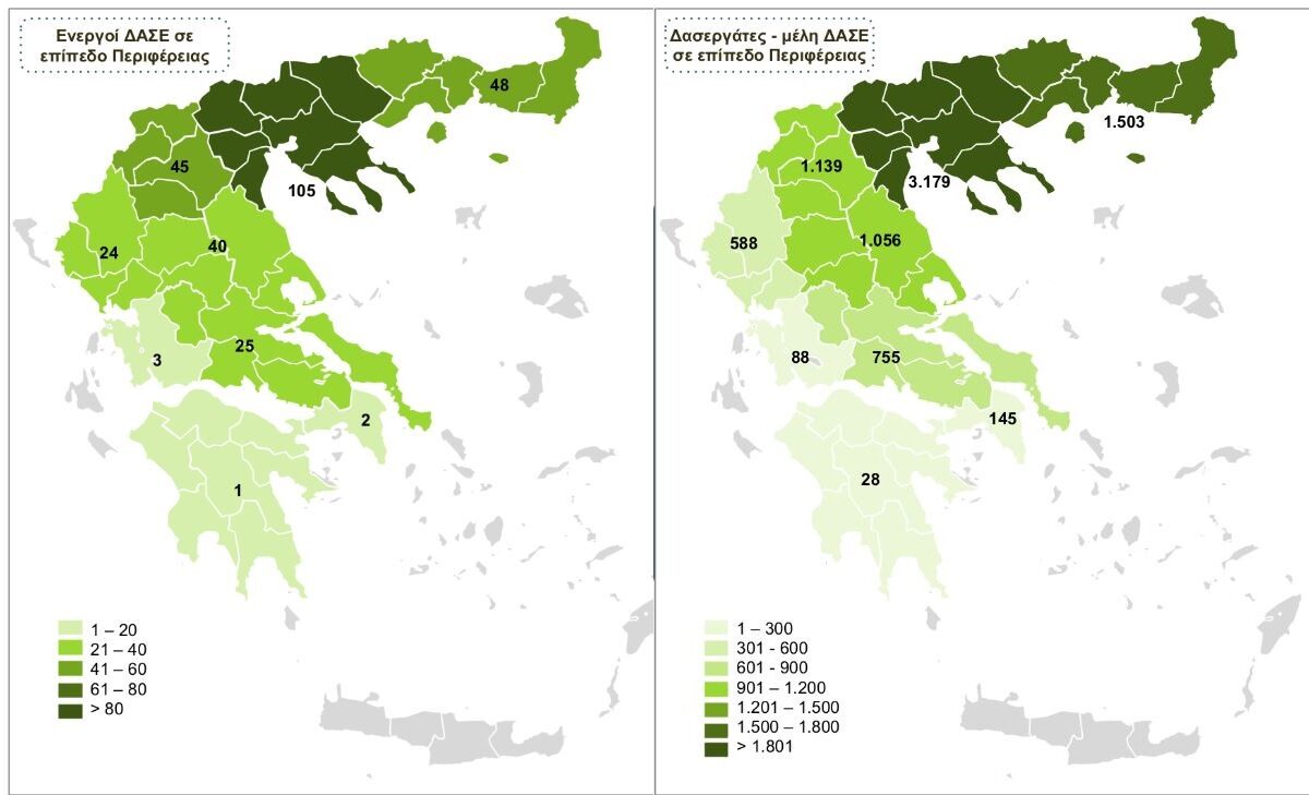 Στο Μητρώο Δασικών Συνεταιρισμών (ΜΗΔΑΣΟ) είναι εγγεγραμμένοι επιπλέον 739 Δασεργάτες μη μέλη των ενεργών ΔΑΣΕ την παρούσα στιγμή © ΥΠΕΝ