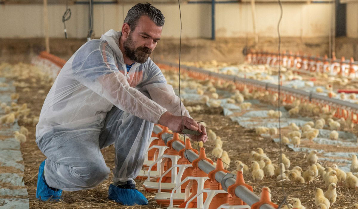 Τα πτηνοτροφεία του αγροτικού συνεταιρισμού «Πινδος» © pindos-apsi.gr/