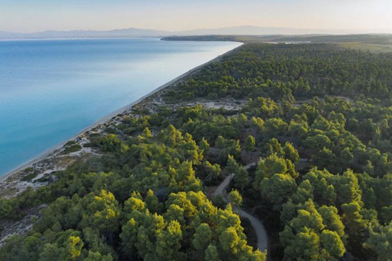 Στόχος του ομίλου Sani/Ikos να καταστούν όλα τα ξενοδοχείο ανθρακικά ουδέτερα και με ηλεκτρικό 100% εγγυημένης προέλευσης ΑΠΕ έως το 2030 © Sani/Ikos Group