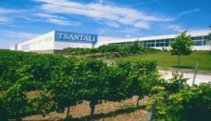 Τσάνταλης: Επίσημα πτώχευση για την οινοποιία – Στο στόχαστρο αγοράς από Αντετοκούνμπο και Γεωργιάδη