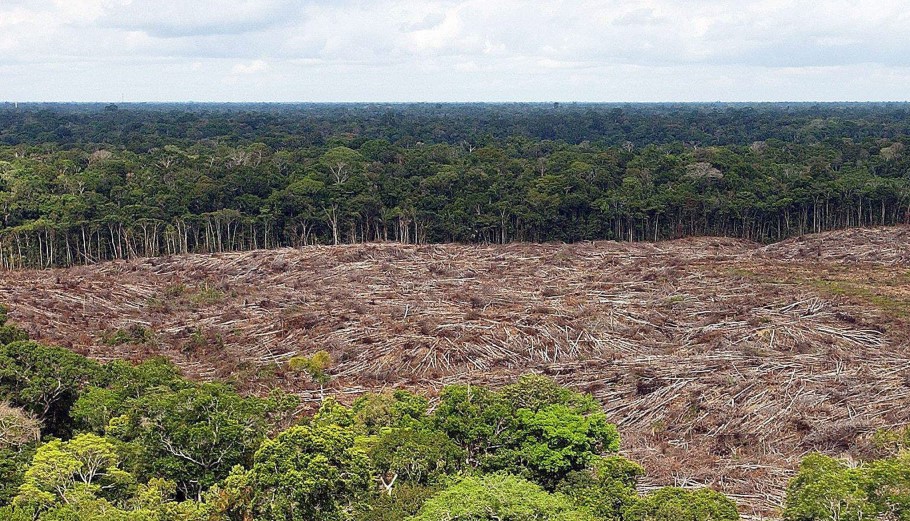 Αποψίλωση στον Αμαζόνιο © EPA/MARCELO SAYAO