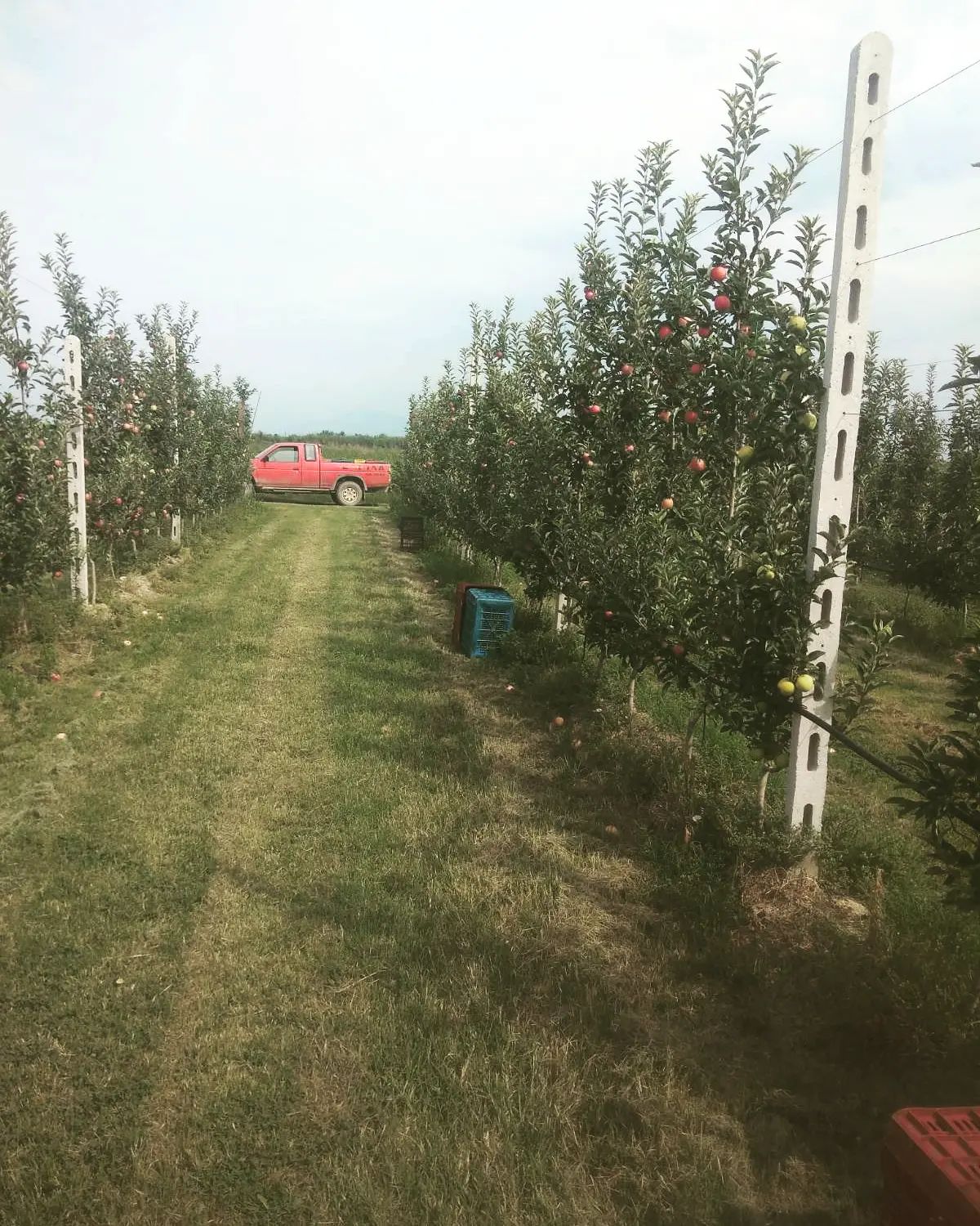 Οικοτεχνία ''Agkathas Farm'' στην Ημαθία @Facebook.com/AgkathasFarm