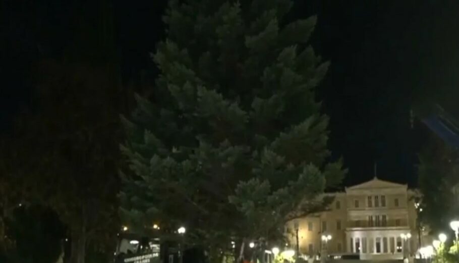 Χριστουγεννιάτικο δέντρο στο Σύνταγμα © YouTube/screenshot