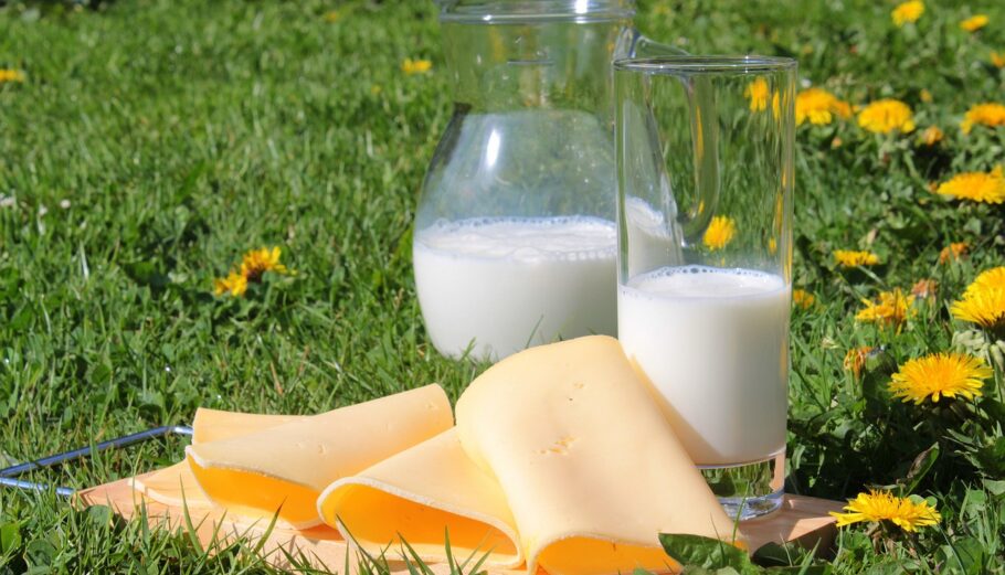 γάλα και τυρί@pixabay