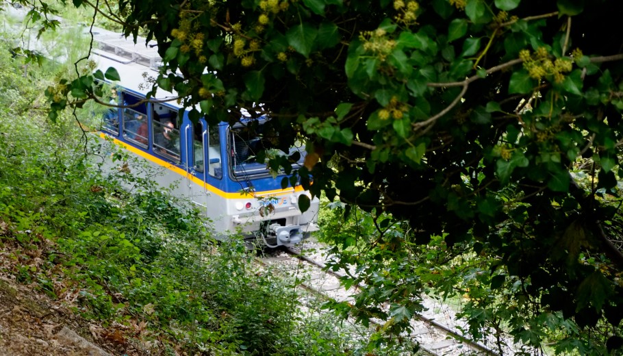 Οδοντωτός © EUROKINISSI/ΓΙΩΡΓΟΣ ΚΟΝΤΑΡΙΝΗΣ