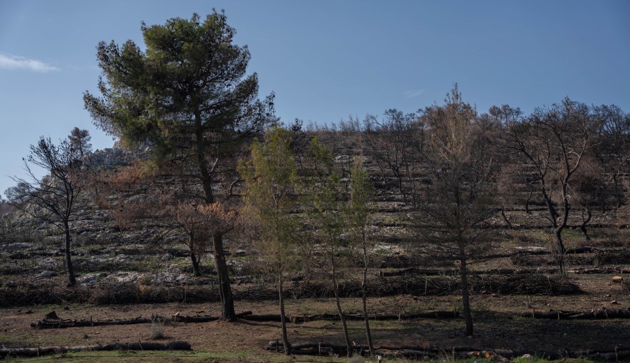 Αντιδιαβρωτικά έργα της ΤΕΡΝΑ στη Μάνδρα Αττικής © ΔΤ