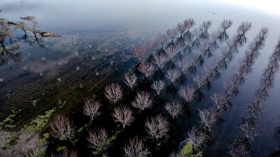 Πλημμυρισμένα χωράφια στη λίμνη Κάρλα στη Θεσσαλία © EUROKINISSI