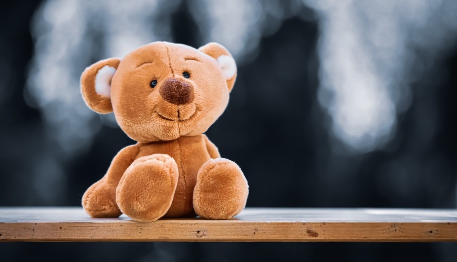 Λούτρινο αρκουδάκι © Pixabay