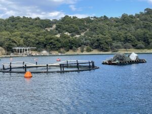 Στην Aqua Bridge η Avramar Greece με απόφαση τραπεζών, μένει εκτός η Cooke