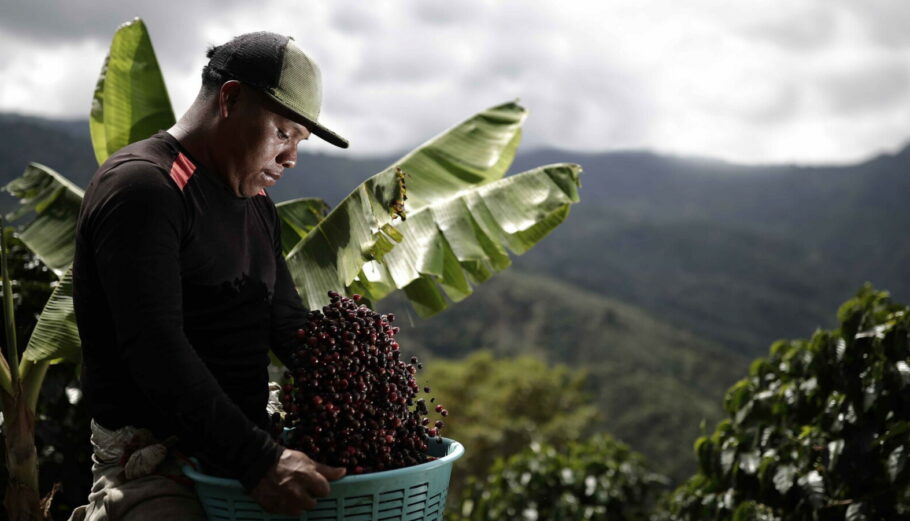 Παραγωγός καφέ στην Κόστα Ρίκα © EPA/Jeffrey Arguedas