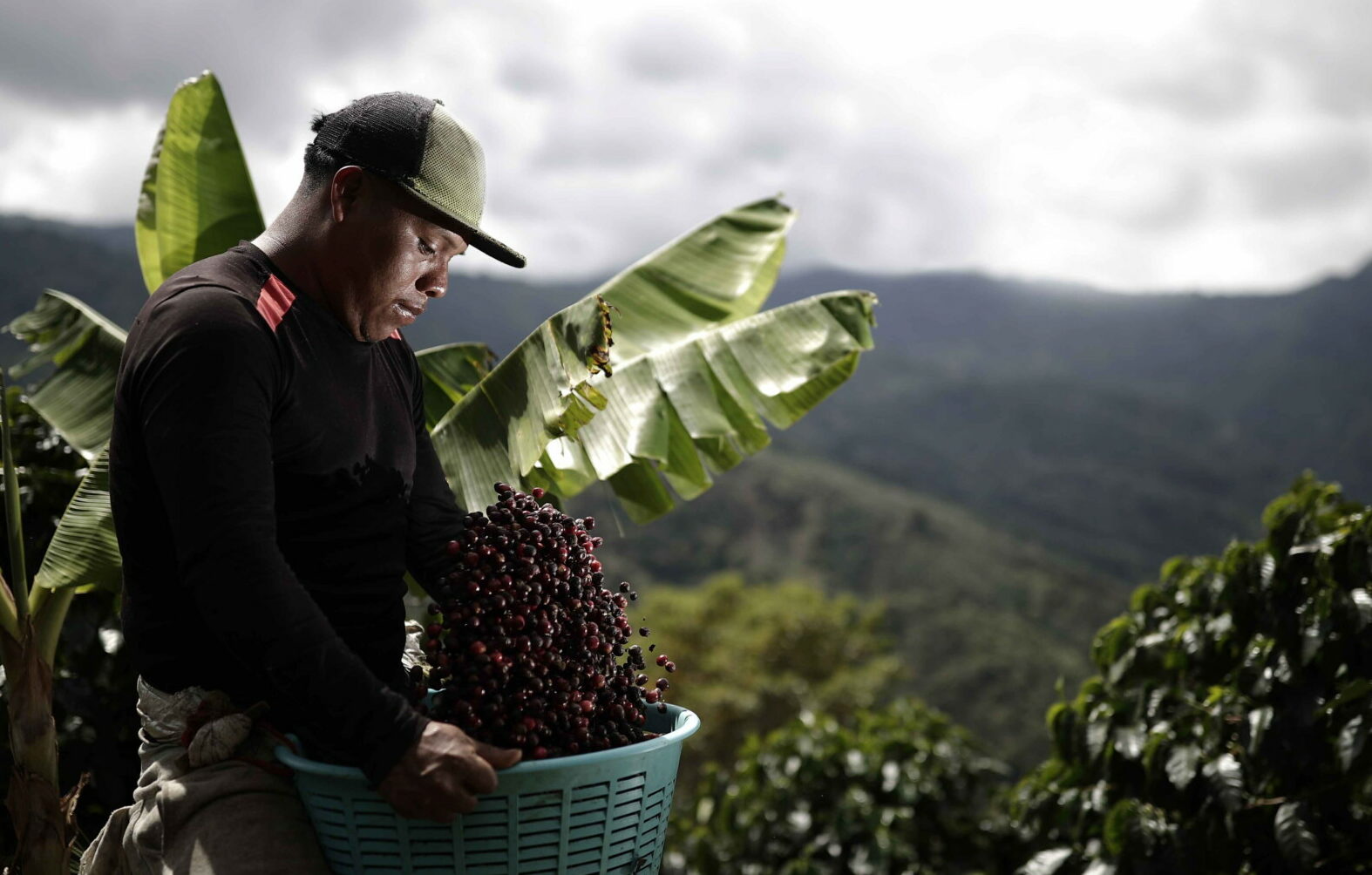 Παραγωγός καφέ στην Κόστα Ρίκα © EPA/Jeffrey Arguedas