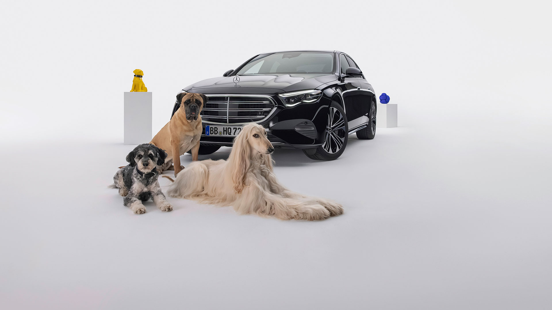 Η Mercedes-Benz παρουσίασε σύστημα φωνητικών εντολών… για σκύλους!