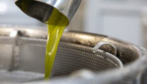Eλαιόλαδο: Η τιμή και τα δύο “αγκάθια” για τη φετινή συγκομιδή