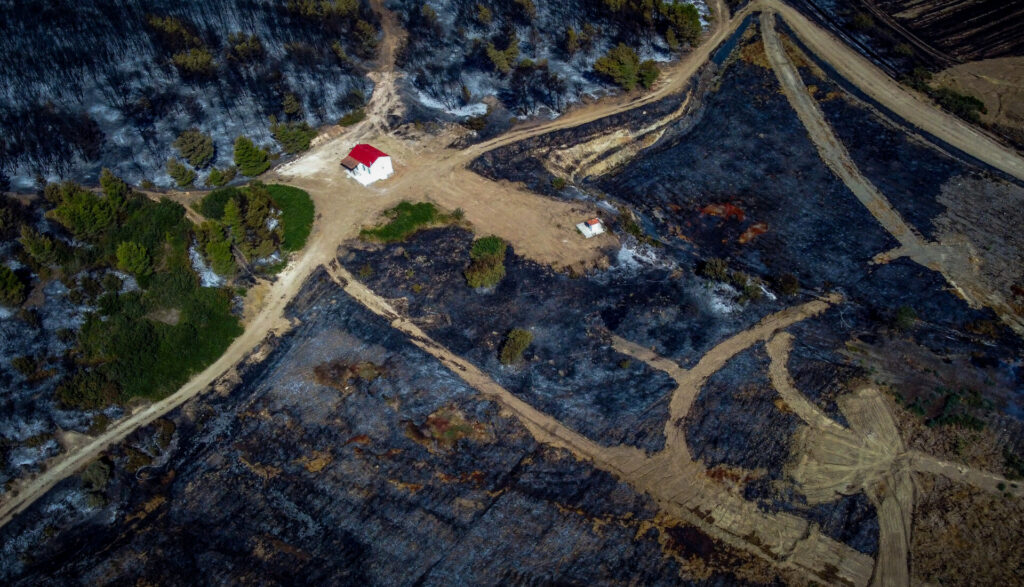Εύβοια: 9.780 στρέμματα κάηκαν στην πυρκαγιά στον Πισσώνα