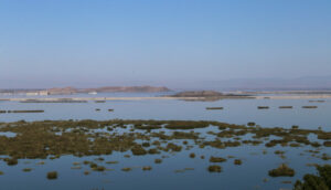 Thessaly Evros Pass 2026: Άνοιξε η πλατφόρμα, πότε λήγουν οι αιτήσεις