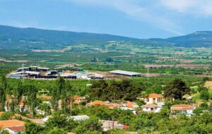 Πώς με όχημα τις εξαγωγές, η Εβροφάρμα πέτυχε αύξηση 44% στα καθαρά κέρδη
