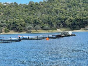 Οι Καναδοί της Cooke εξαγόρασαν τη μητρική Avramar στην Ισπανία