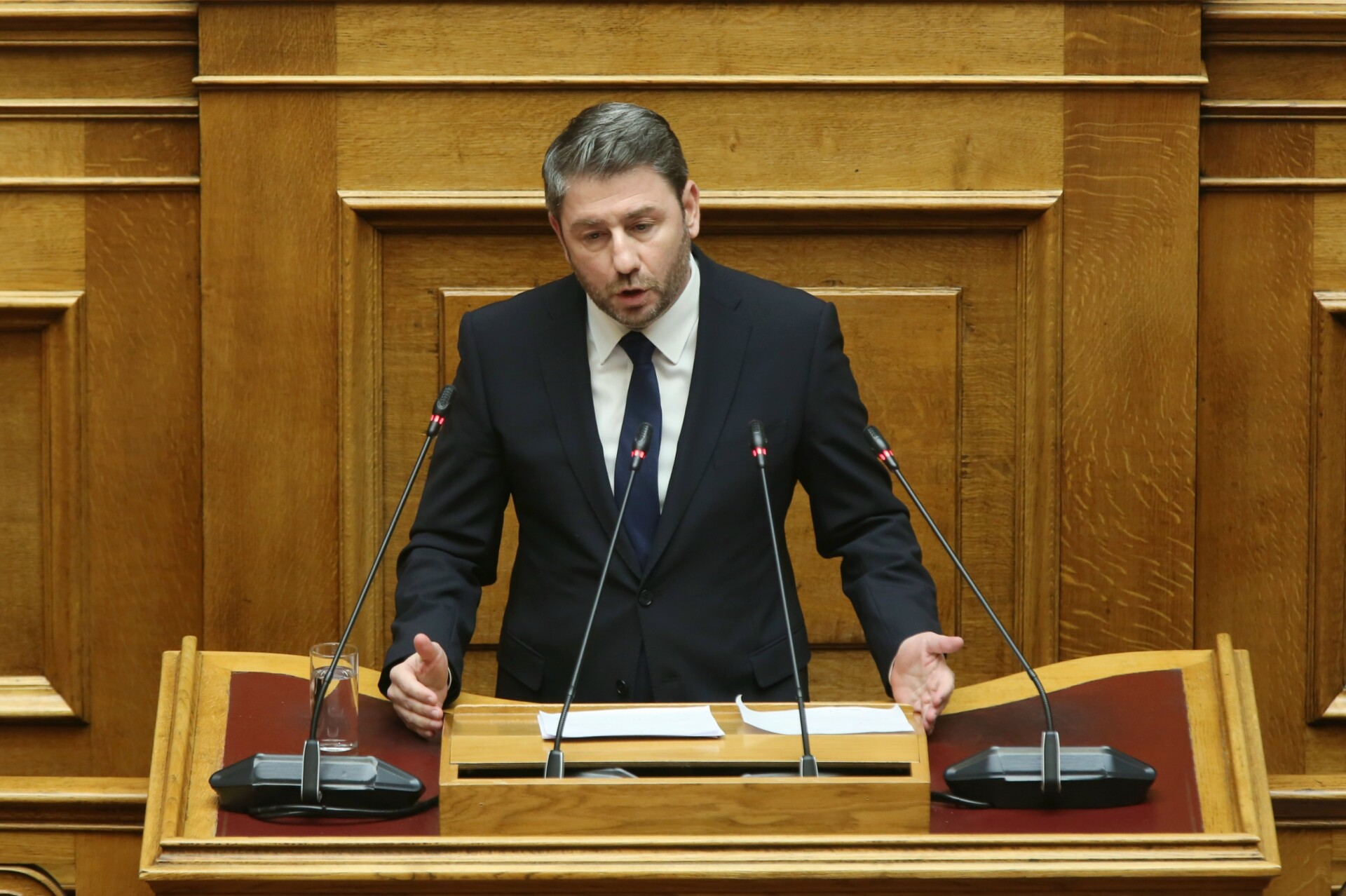 androulakis vouli Νίκος Ανδρουλάκης Βουλή