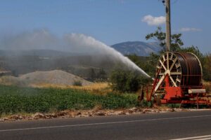 ΕΛΓΑ: Έως 3 Ιουνίου οι αιτήσεις ενίσχυσης για την απώλεια φυτικού κεφαλαίου από Daniel-Elias