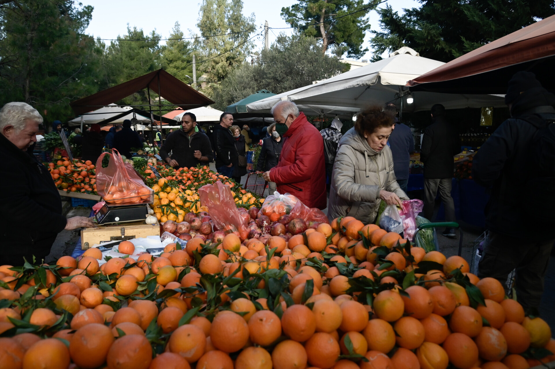 ΠΟΡΤΟΚΑΛΙΑ