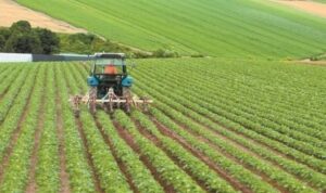 ΟΠΕΚΕΠΕ: Σε ισχύ ειδική ψηφιακή εφαρμογή – Τι αφορά