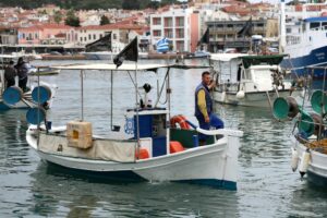 WWF Ελλάς: Καμπανάκι για τα ιχθυαποθέματα στη Μεσόγειο