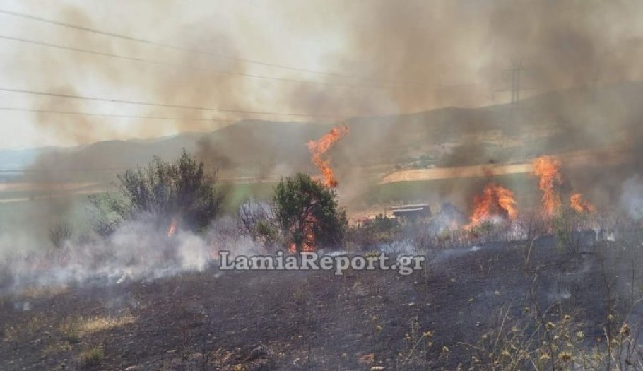 Φωτιά στον Δομοκό: Συναγερμός στην Πυροσβεστική