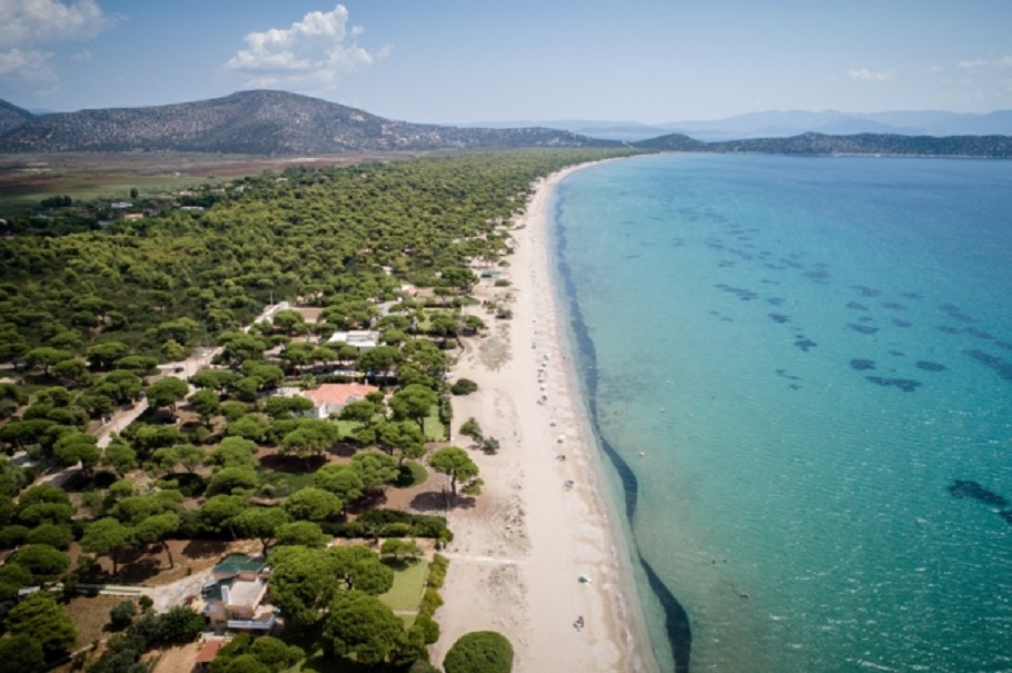Σχινιάς: Αυθαίρετα Bungalows νοικιάζονται 300 ευρώ τη βραδιά