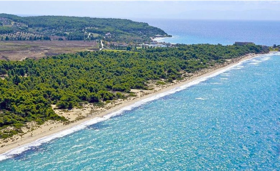 Η Σάνη Μονοπρόσωπη πλειοδότης για το ακίνητο Σάνη Κασσάνδρας (Βόρειο Τμήμα) για 4 εκατ.