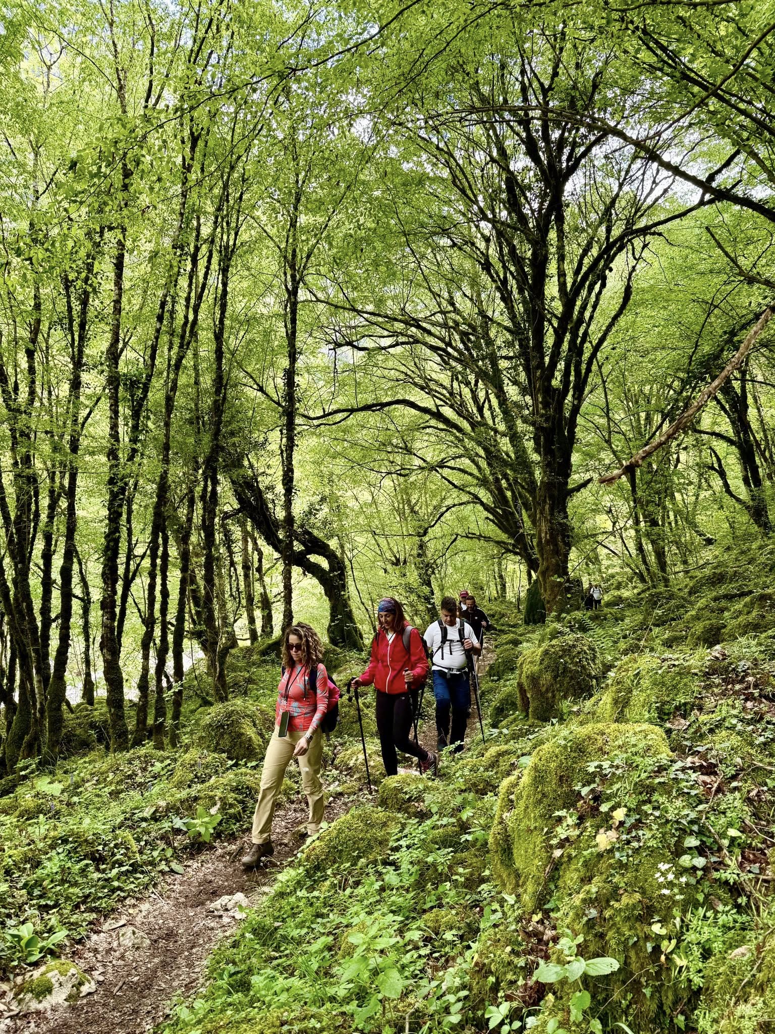 Μοναδικές εξορμήσεις για Trekking σε βουνά της Ελλάδος