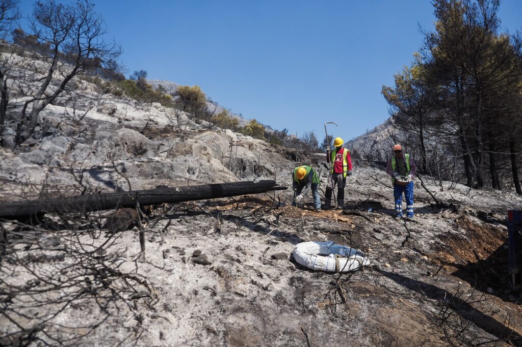 Ισχυρές πυροσβεστικές δυνάμεις σε όλα τα πεδία των πυρκαγιών